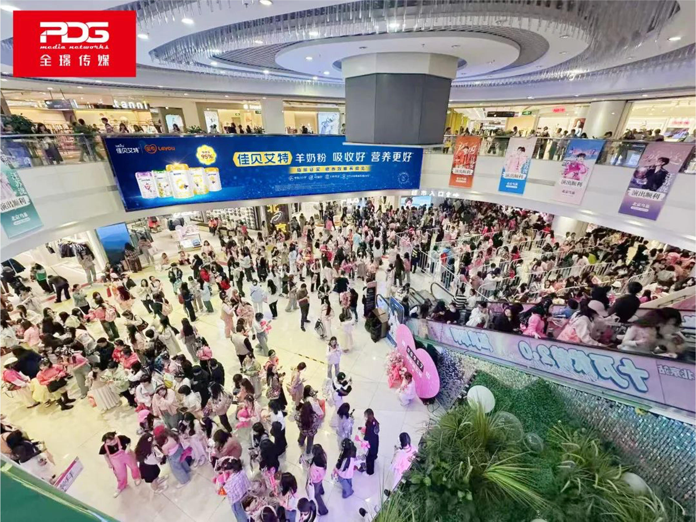 “品牌+渠道”全年投放，高频触达